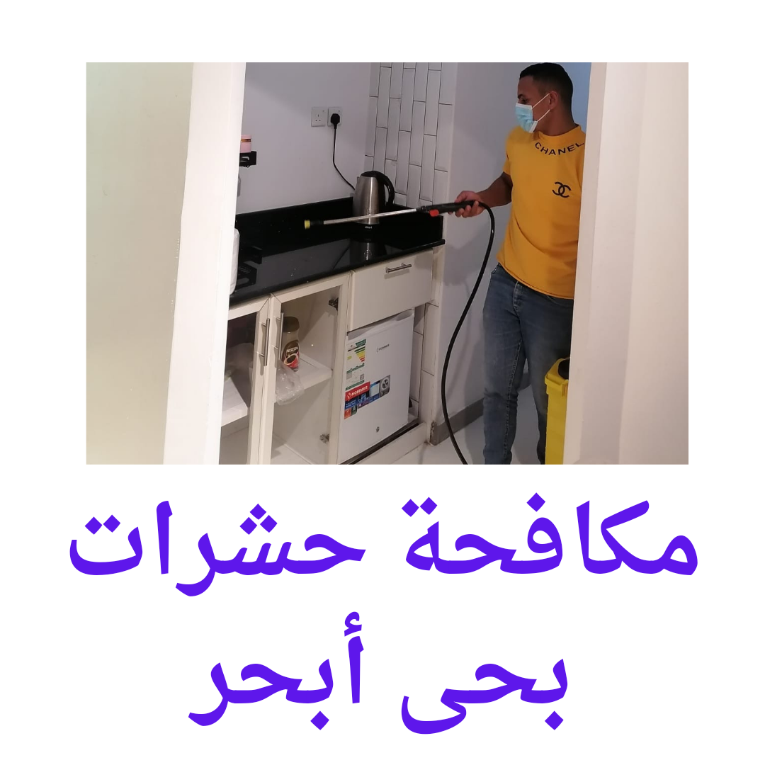  مكافحة حشرات حى أبحر 